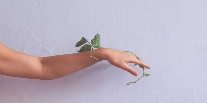 Trattamento della Brachialgia in Osteopatia