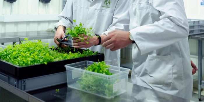 Malattie nervose curate con approccio Fitoterapico