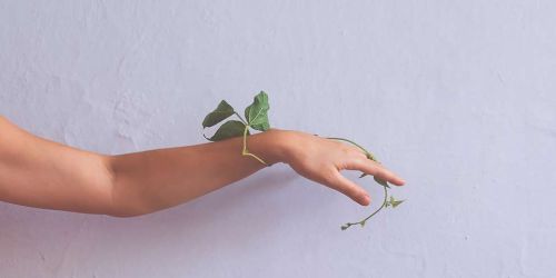 Trattamento della Brachialgia in Osteopatia